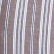 light brown stripe