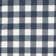 navy blue check