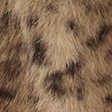 light brown leopard print