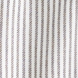 light brown stripe