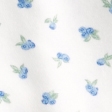 blueberries