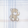 light blue plaid print