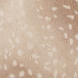 light brown pattern