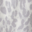light grey leopard