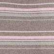light brown stripe