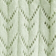 pistachio