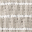 light brown stripe