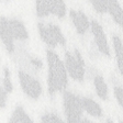 light grey leopard