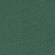 spruce