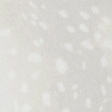 white dot