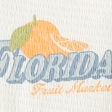 Smocked Florida Graphic Baby Tee