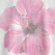 light heather grey