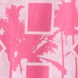 raspberry