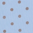 light blue dot