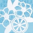 8.0 fl oz floral & lemon