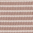 light brown stripe